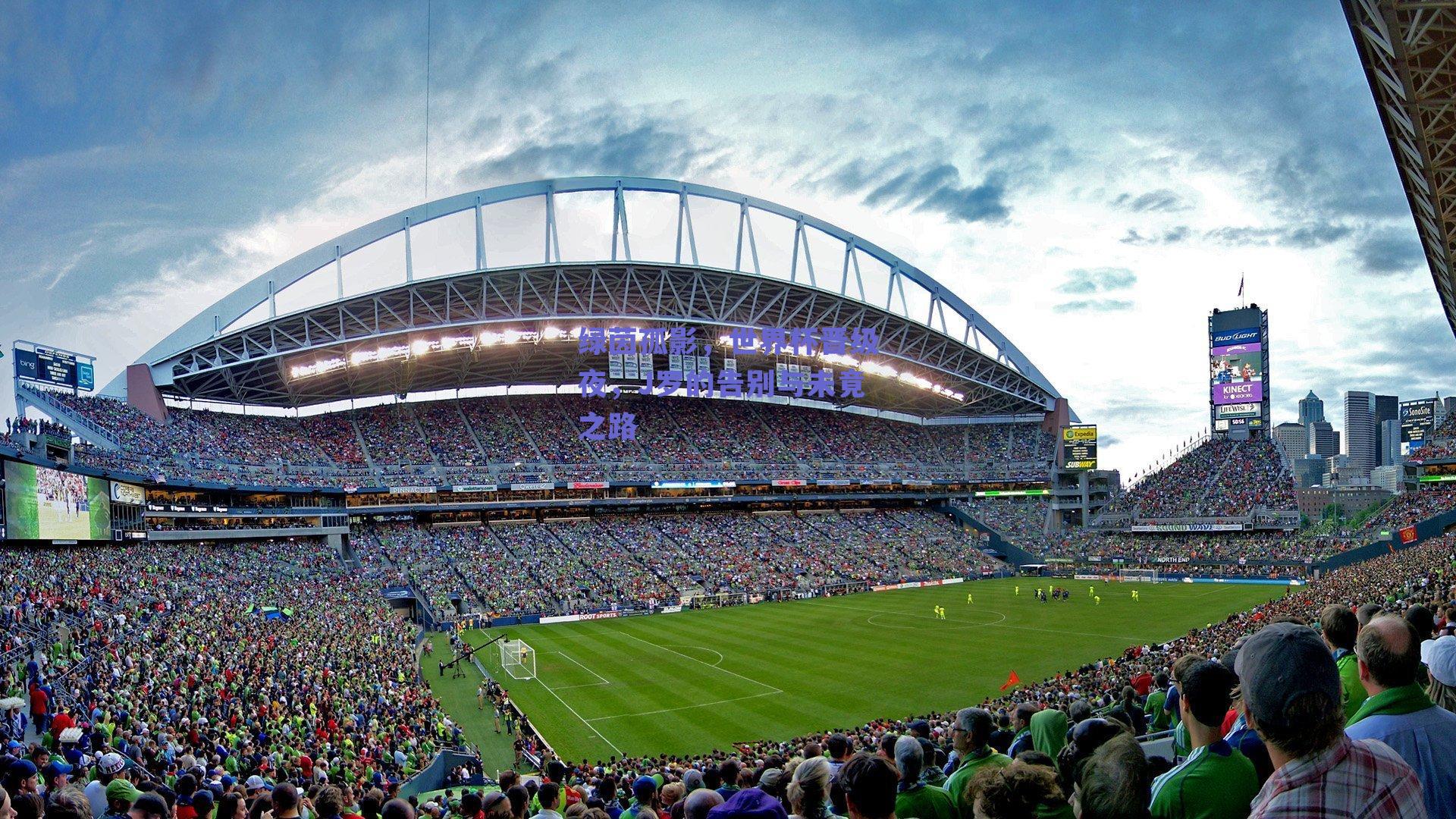 绿茵孤影，世界杯晋级夜，J罗的告别与未竟之路